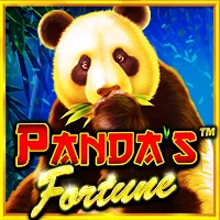 pp image